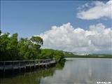 Reserva Natural las Cabezas de San Juan - FAJARDO